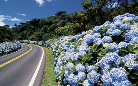 gramado-canela-rs-serra-gaucha-destino-nacional-viagem